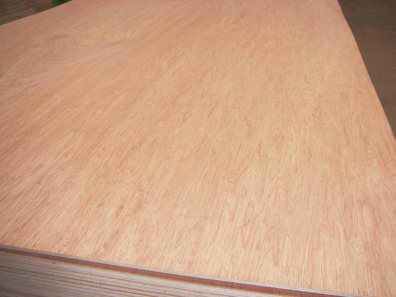 木胶板厂家产品在质量上有哪些区别？
